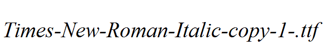 Times-New-Roman-Italic-copy-1-.ttf