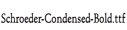 Schroeder-Condensed-Bold.ttf