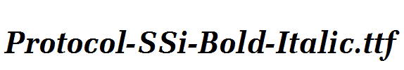 Protocol-SSi-Bold-Italic.ttf