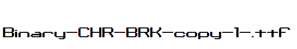 Binary-CHR-BRK-copy-1-.ttf