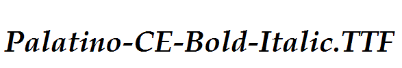 Palatino-CE-Bold-Italic.ttf