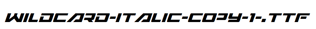 Wildcard-Italic-copy-1-.ttf