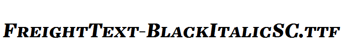 FreightText-BlackItalicSC.ttf