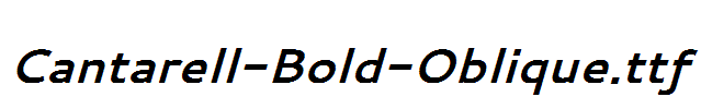 Cantarell-Bold-Oblique.ttf