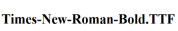 Times-New-Roman-Bold.ttf