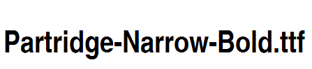 Partridge-Narrow-Bold.ttf