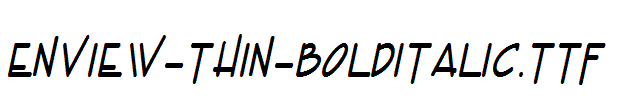 Enview-Thin-BoldItalic.ttf