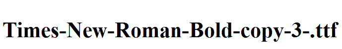 Times-New-Roman-Bold-copy-3-.ttf