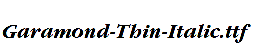 Garamond-Thin-Italic.ttf