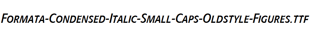 Formata-Condensed-Italic-Small-Caps-Oldstyle-Figures.ttf