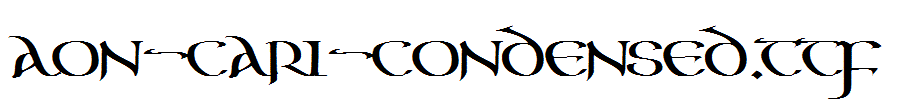 Aon-Cari-Condensed.ttf