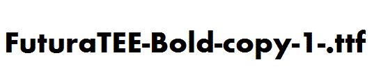 FuturaTEE-Bold-copy-1-.ttf