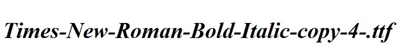 Times-New-Roman-Bold-Italic-copy-4-.ttf