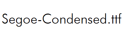 Segoe-Condensed.ttf