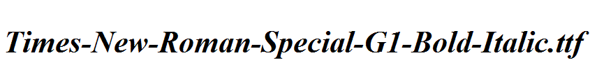 Times-New-Roman-Special-G1-Bold-Italic.ttf