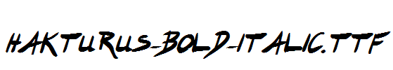 Hakturus-Bold-Italic.ttf