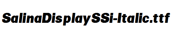 SalinaDisplaySSi-Italic.ttf