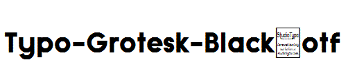 Typo-Grotesk-Black.otf