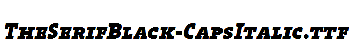 TheSerifBlack-CapsItalic.ttf