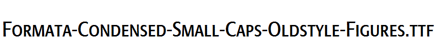 Formata-Condensed-Small-Caps-Oldstyle-Figures.ttf