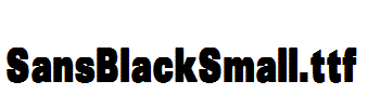 SansBlackSmall.ttf