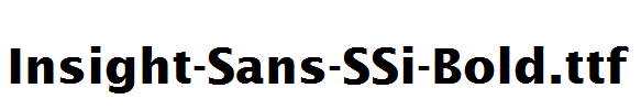 Insight-Sans-SSi-Bold.ttf