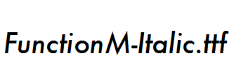 FunctionM-Italic.ttf