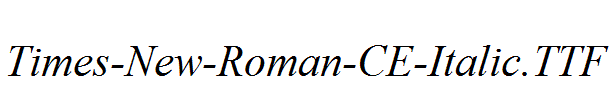 Times-New-Roman-CE-Italic.ttf