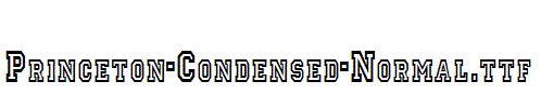 Princeton-Condensed-Normal.ttf