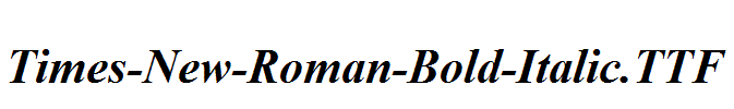 Times-New-Roman-Bold-Italic.ttf