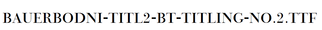 BauerBodni-Titl2-BT-Titling-No.2.ttf