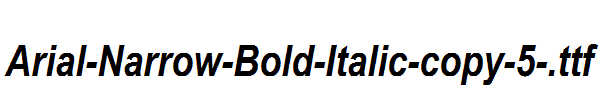 Arial-Narrow-Bold-Italic-copy-5-.ttf