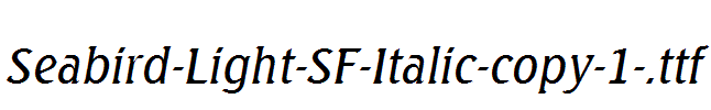 Seabird-Light-SF-Italic-copy-1-.ttf