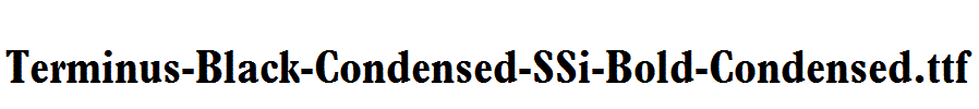 Terminus-Black-Condensed-SSi-Bold-Condensed.ttf