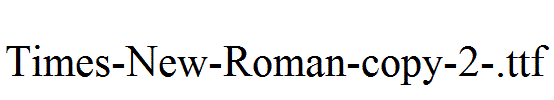 Times-New-Roman-copy-2-.ttf