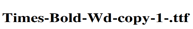 Times-Bold-Wd-copy-1-.ttf