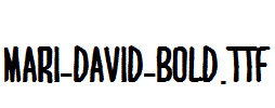 MARI-DAVID-BOLD.ttf