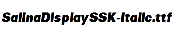 SalinaDisplaySSK-Italic.ttf