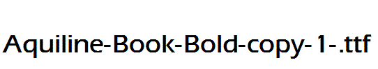 Aquiline-Book-Bold-copy-1-.ttf