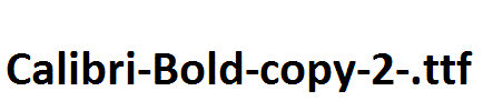 Calibri-Bold-copy-2-.ttf