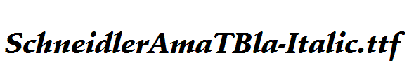 SchneidlerAmaTBla-Italic.ttf